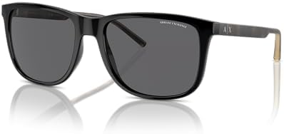 AX4070S